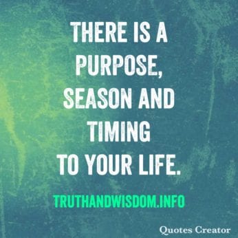 There is a Purpose, Season and Timing to your life